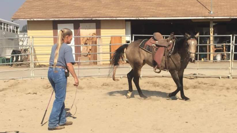 Saddle Up with Beth Eva: Keeping safe around your horse