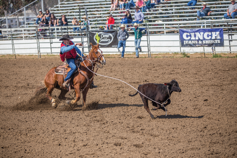 Fresno State Bulldoggers host competition at Clovis Rodeo Grounds