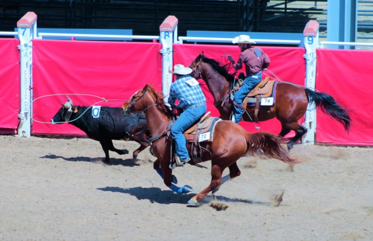 Pre-Rodeo Competition Unites Local Cowboys and Cowgirls