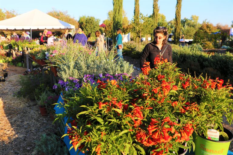 Clovis Botanical Garden Hosts Water Wise Plant Sale