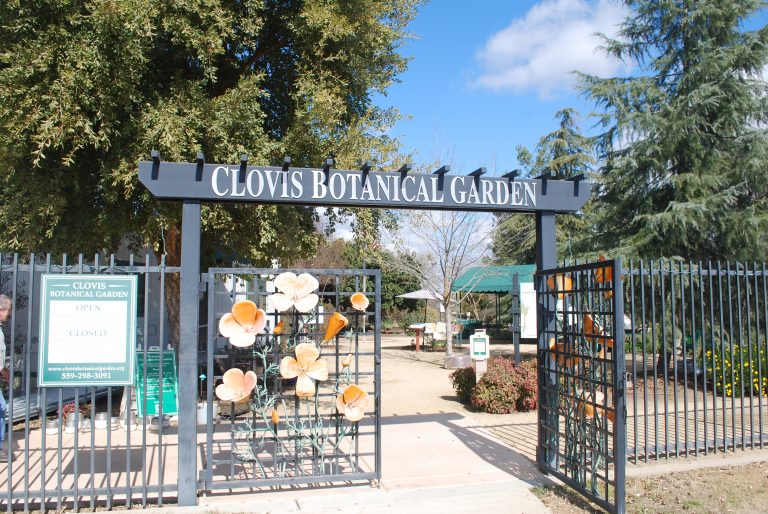 Clovis Botanical Garden to host eighth annual Spring Into Your Garden Festival