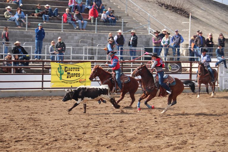 Three Bulldoggers take home buckles at annual college rodeo