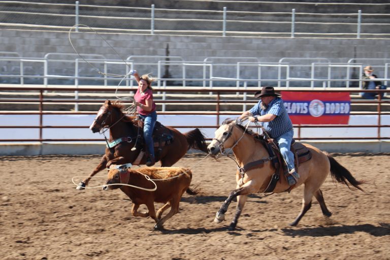 Local team ropers compete for jackpot