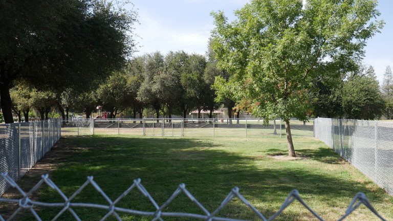 City welcomes feedback for development of dog park