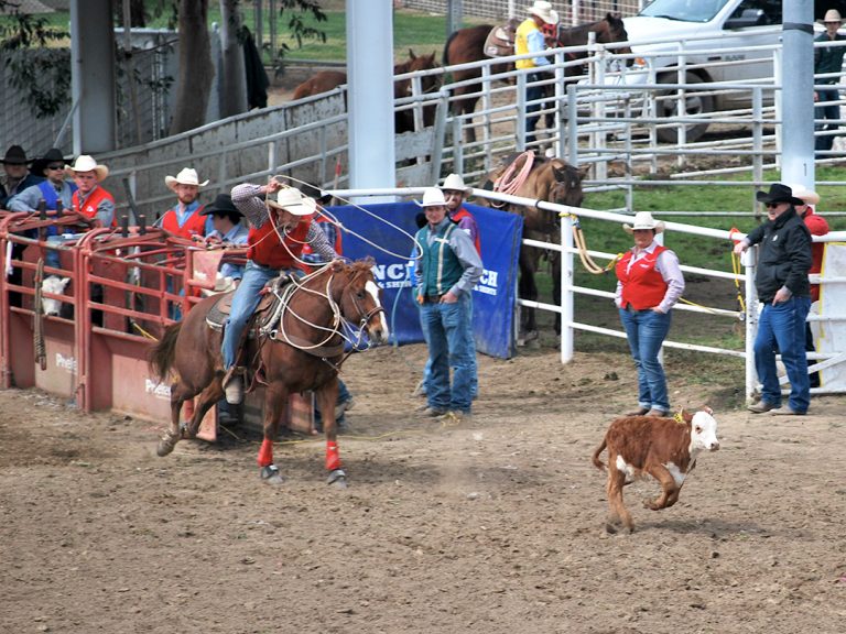 Hometown fans of the Bulldoggers brave rain at rodeo