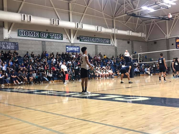 Timberwolves overpower Golden Eagles in three-straight sets