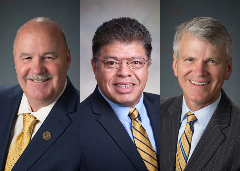 Three incumbents win Clovis City Council elections