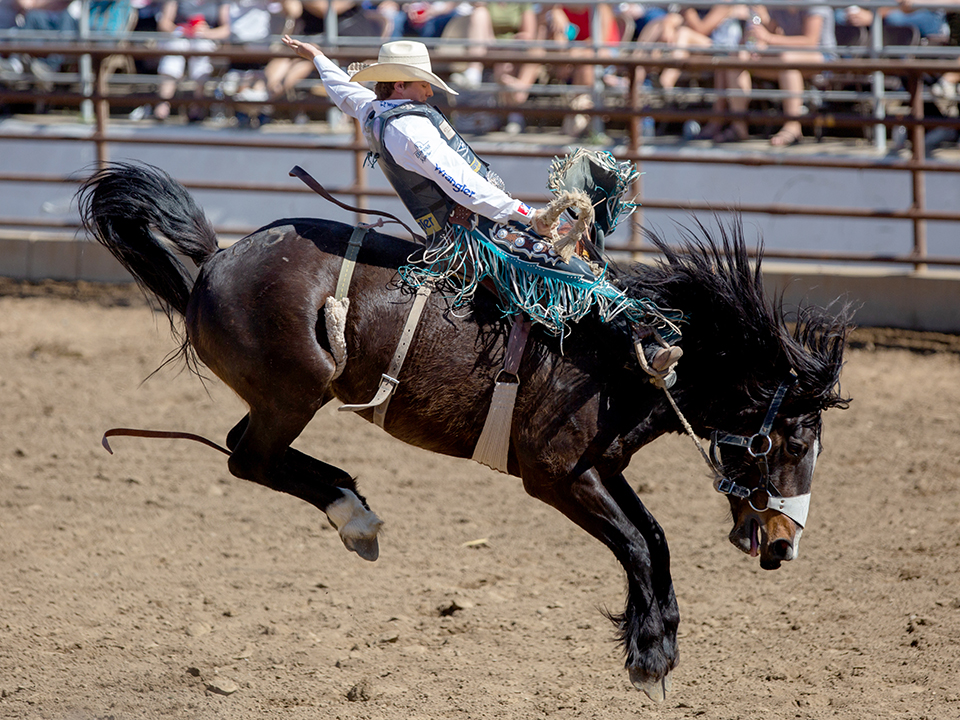 Clovis Rodeo’ Demonstrates “Clovis Way of Life” Clovis Roundup
