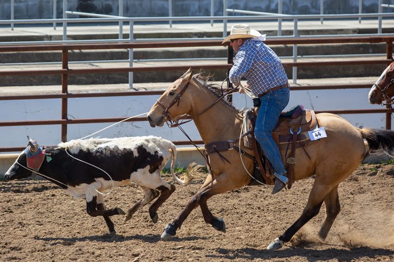 Clovis Ranch Rodeo Takes Place at Rodeo Ground