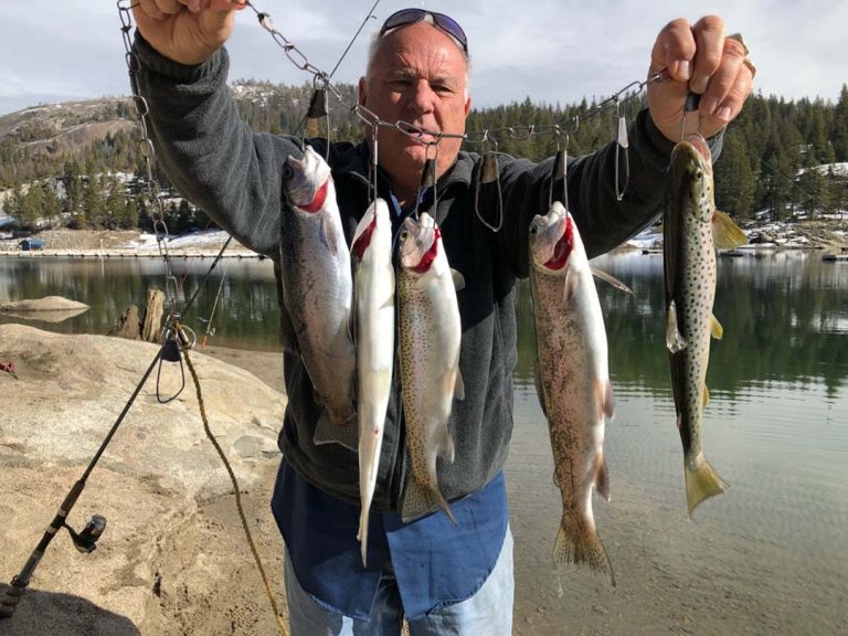 Shaver Lake Fishing Report: Fish planting for the Spring season