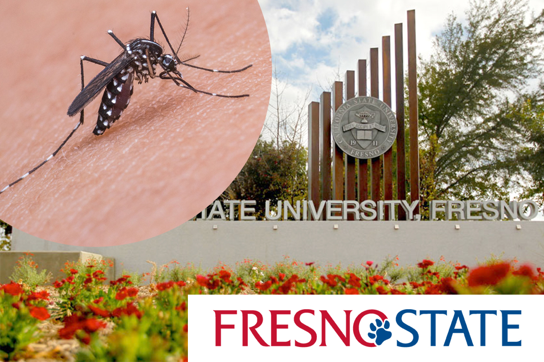Mosquitoes test positive for West Nile Virus near Fresno State Clovis