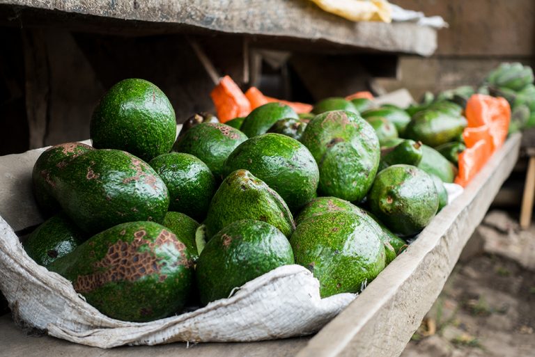 Ag at Large: Border not an issue in sales of avocados