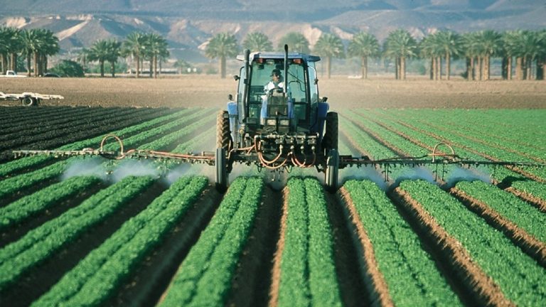Fresno County the Nation’s Top Agricultural Producer