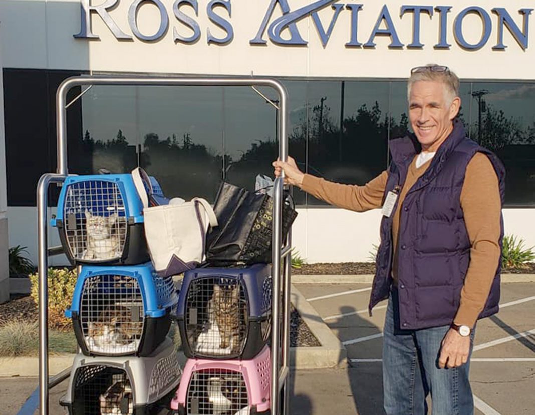 Kirkland Foundation Uses Facebook To Save Homeless Animals Clovis Roundup