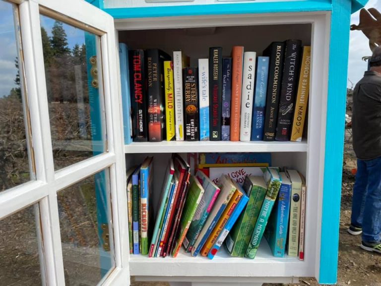 Little Free Library Open to All at McCall