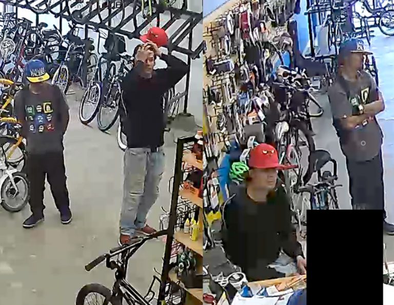 Thieves Wanted for Bicycle Theft