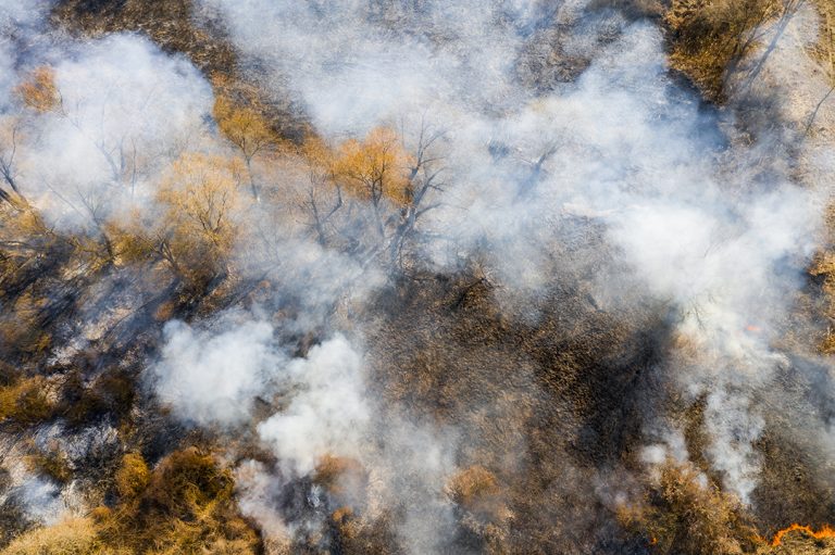 Officials Warn of Wildfire Smoke Exposure Due to Grass Fires