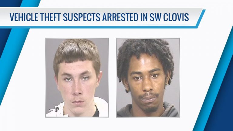 Five Vehicle Theft Suspects in Custody