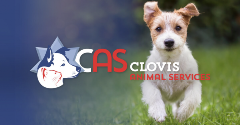 Clovis Animal Services Website Brings Services to Light