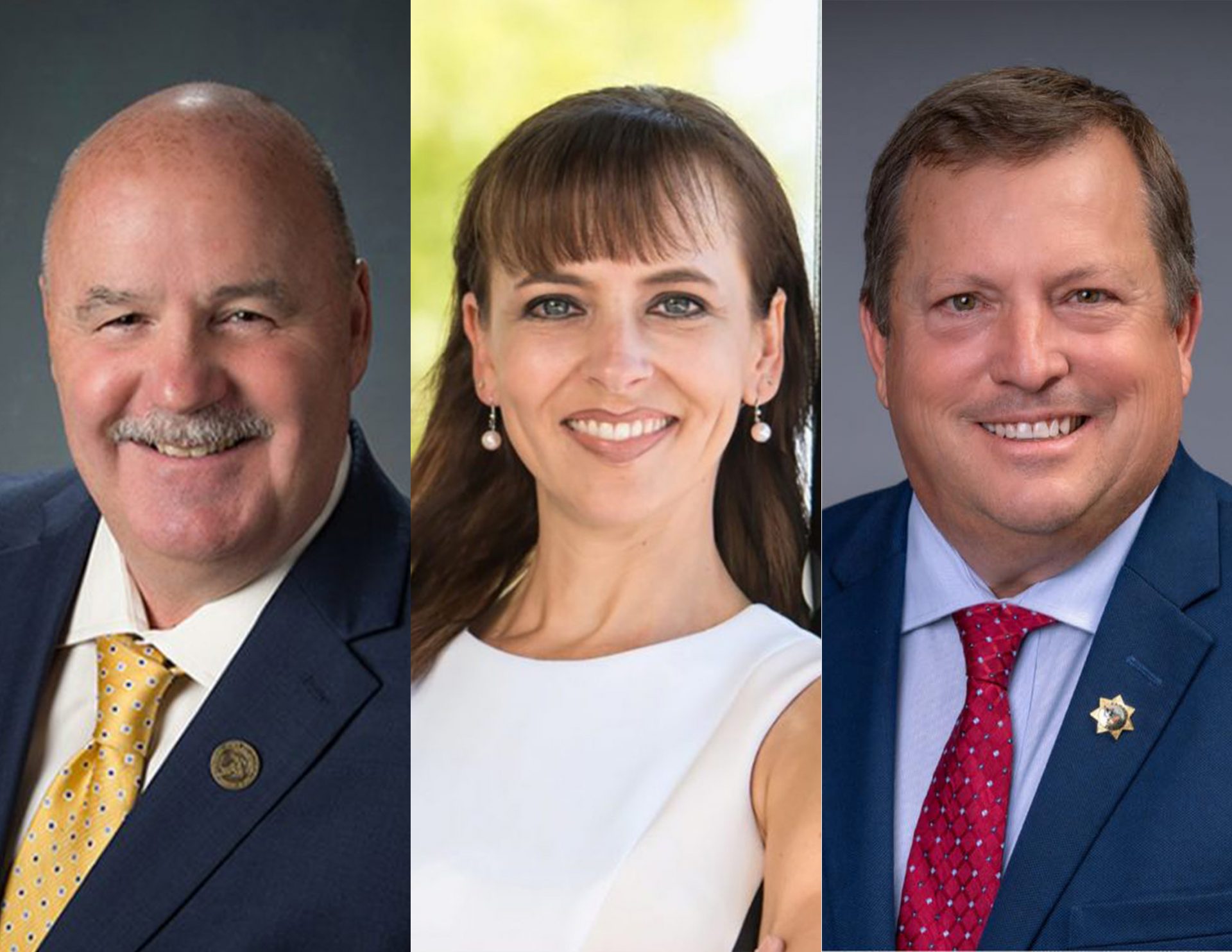 First Statewide and Local General Election Results Clovis Roundup