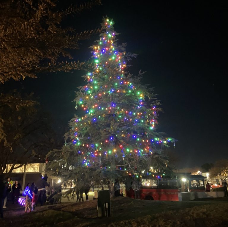 City of Clovis Lights Tree in Annual Christmas Tree Lighting Ceremony
