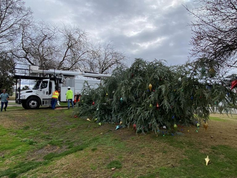 Clovis’ Christmas Tree Falls Due to Inclement Weather