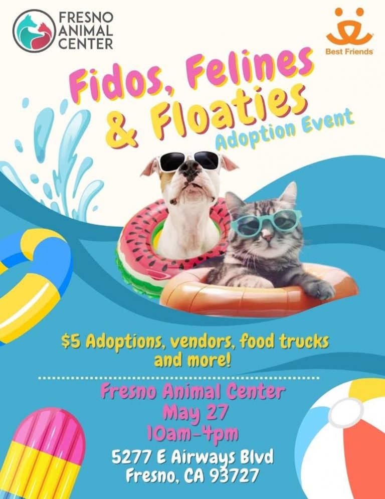 Fresno Animal Center to Hold ‘Fidos, Felines & Floaties’ Adoption Event