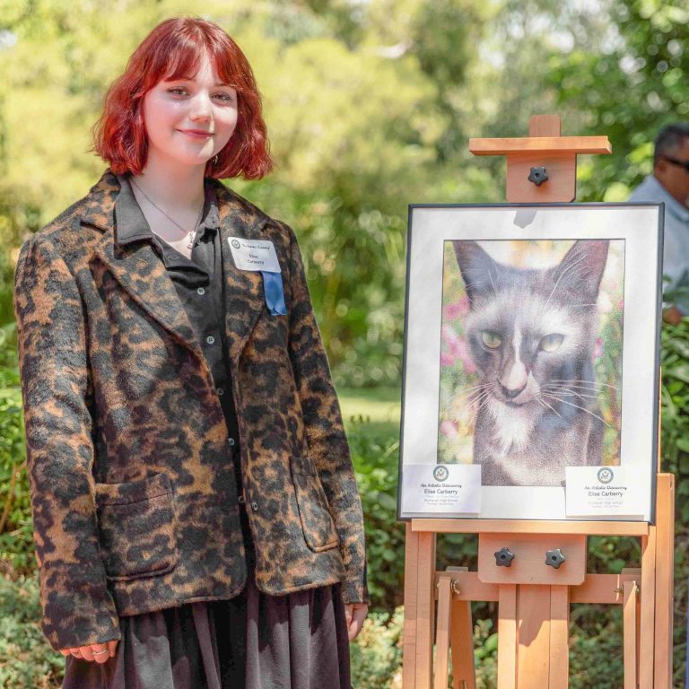 Buchanan High School Student Wins Congressional Art Competition