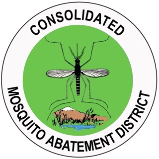 West Nile and St Louis Encephalitis virus-positive mosquitoes collected within city limits